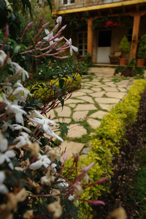 Hotel Posada Primavera San Cristóbal de Las Casas Kültér fotó