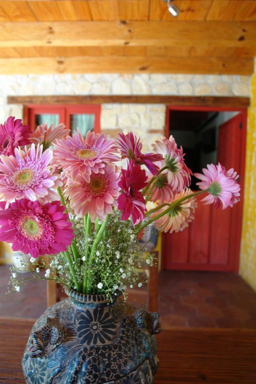 Hotel Posada Primavera San Cristóbal de Las Casas Kültér fotó